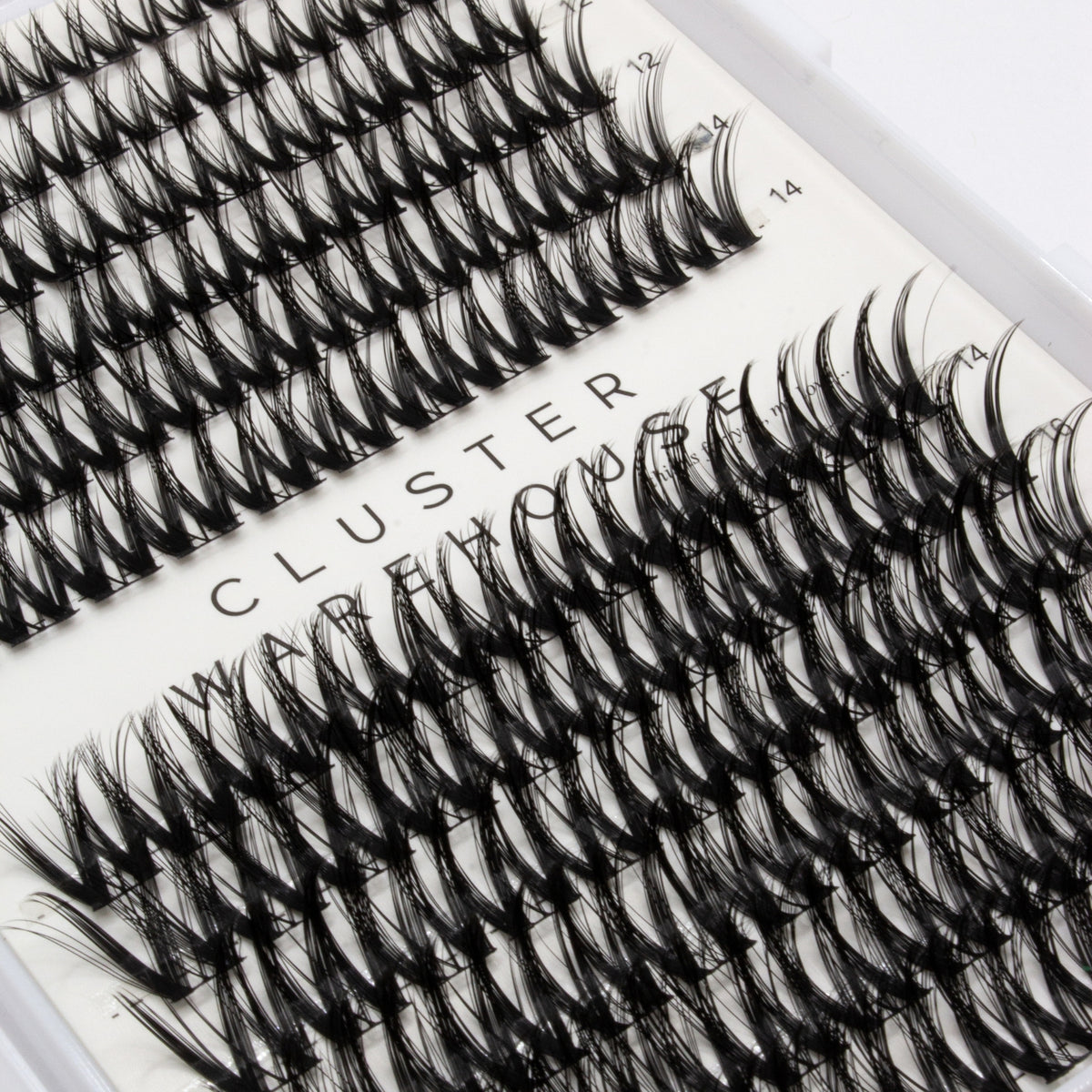 Blossom Lashes - Hybrid