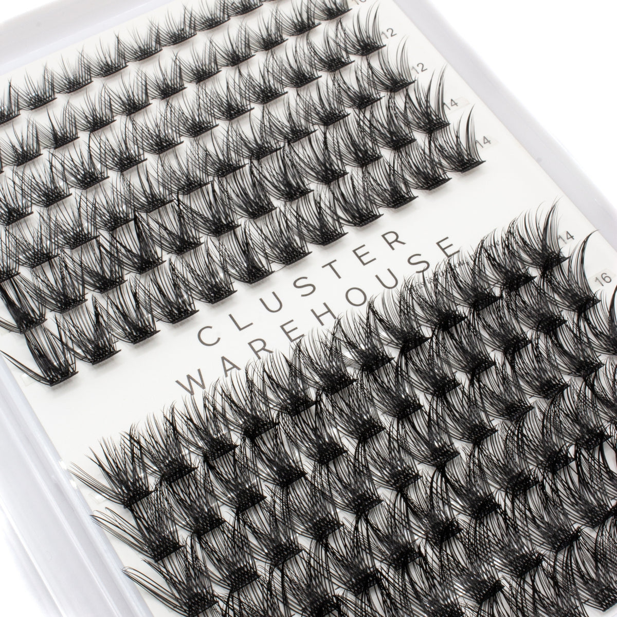Pixie Lashes - Hybrid