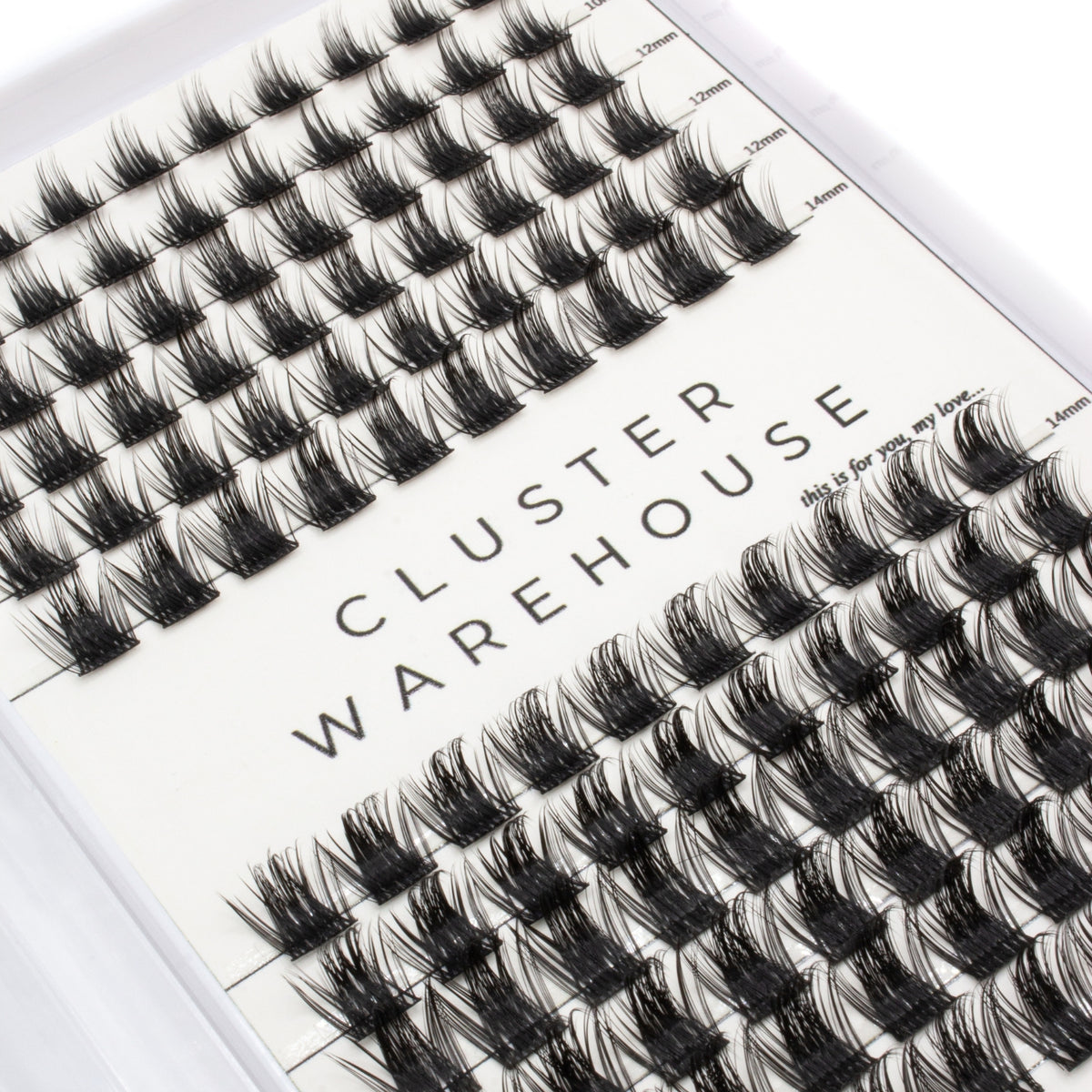 Muse Lashes - Volume